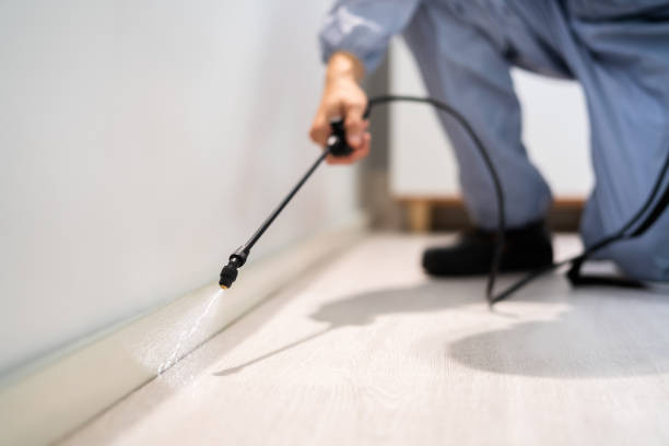 Professional exterminator conducting IPM assessment in Riverdale
