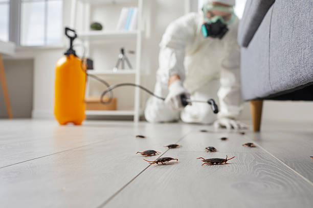 Commercial Kitchen Cockroach Control in Riverdale